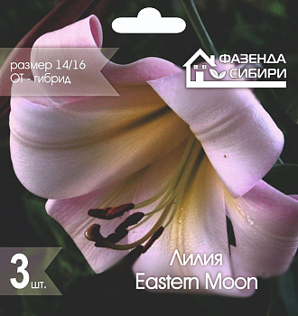  Лилия ОТ-гибрид Истерн Мун/Eastern Moon 14/16 (3шт) А-31  Фазенда Сибири