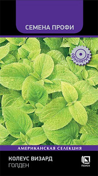 Колеус Визард Голден (10шт) Поиск/10