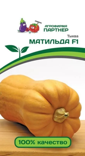Безымянный