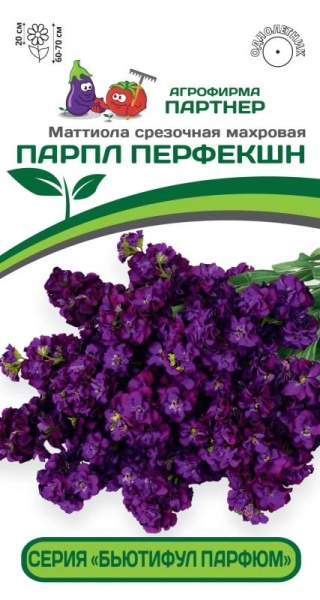 Маттиола ПАРПЛ ПЕРФЕКШН