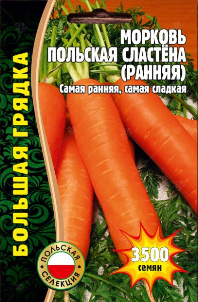 Польская сластена ранняя