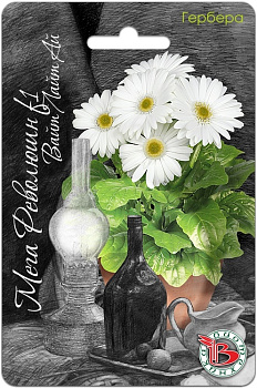 Гербера Мега Революшн F1 Вайт Лайт Ай (5шт) Биотехника/10