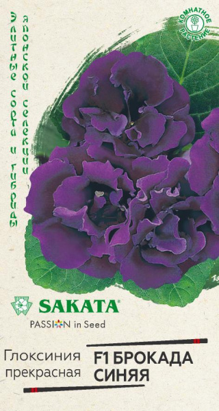 Глоксиния Брокада синяя