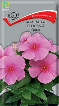 Катарантус Султан (0,1г) Поиск/10