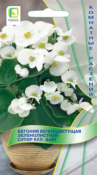 Бегония Супер Кул Вайт (10шт) Поиск/10