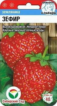 Земляника Зефир (10шт) Сиб Сад/10