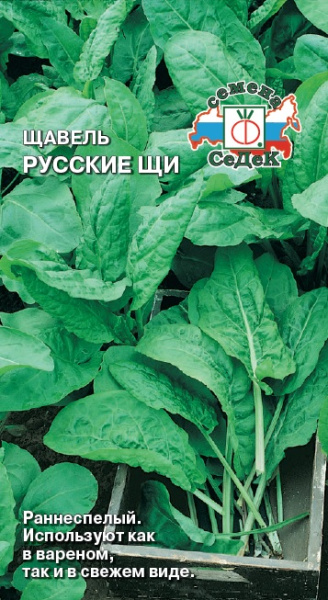 shchavel_russkie_shchi