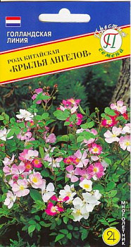 Роза Крылья Ангелов (20шт) Престиж/10