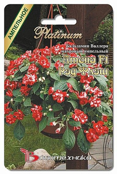 Бальзамин ампельный Атена F1 Рэд Флэш (8шт) Биотехника/10