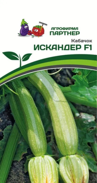 Кабачок Искандер