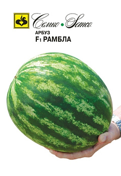 Арбуз Рамбла F1 (10шт) Семко/10