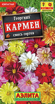 Георгина Кармен, смесь (10шт) Аэлита/10