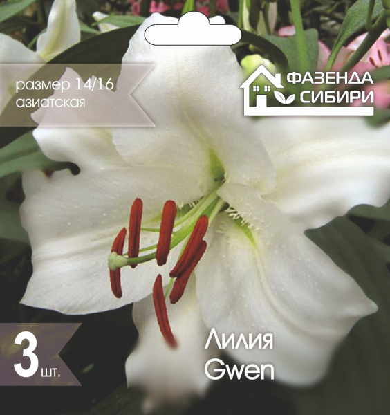 Лилия Гвен