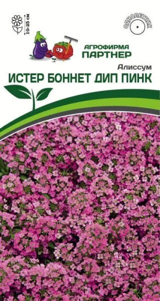 Алиссум истер боннет дип пинк