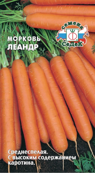 morkov_leandr
