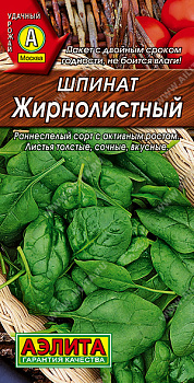Шпинат Жирнолистный (3г) Аэлита/10
