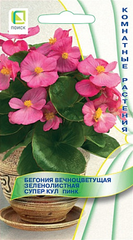 Бегония Супер Кул Пинк (10шт) Поиск/10