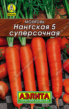 Морковь Нантская 5 суперсочная (2г) Лидер Аэлита/10