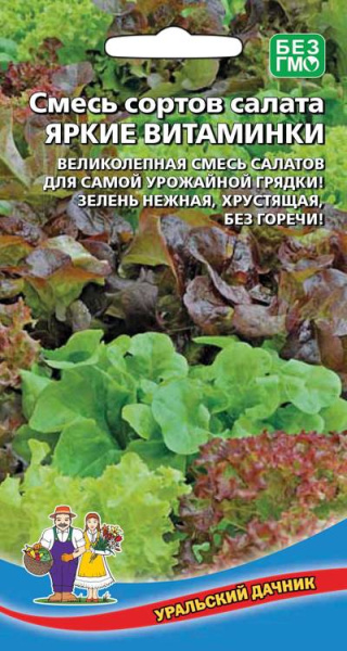 smes-sortov-salata-yarkie-vitaminki