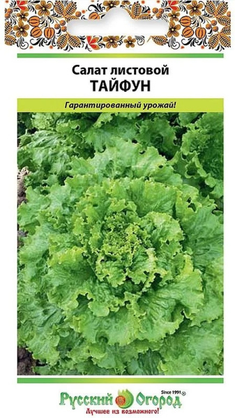 Салат Тайфун