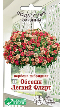 Вербена Обсешн Легкий Флирт гибридная (8шт) Евросемена/10