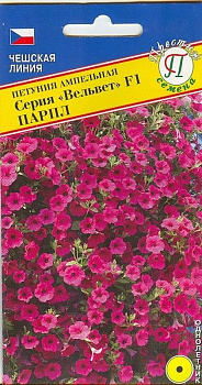 Петуния Вельвет F1 Парпл амп (5шт) Престиж/10