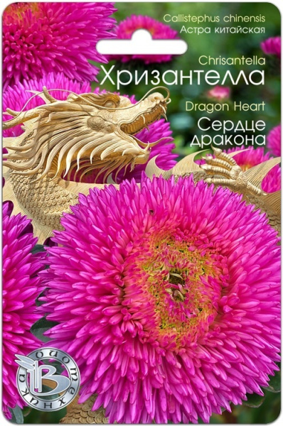 Сердце дракона