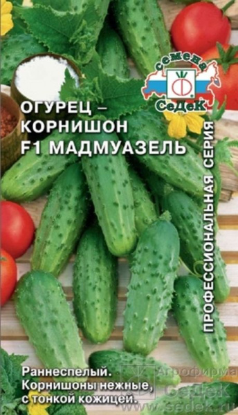 00000006651_1