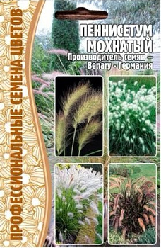 Пеннисетум Мохнатый (Pennisetum Villosum) (10шт) Редкие овощи/10
