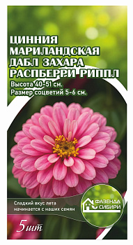 Цинния Дабл Захара Распберри Риппл (5шт) Фазенда Сибири/10