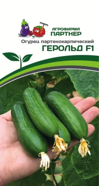 Огурец герольд