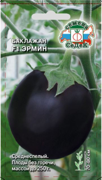 baklazhan_ermin_f1