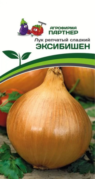 Лук эксибишен