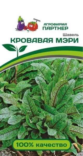 Щавель кровавая мэри