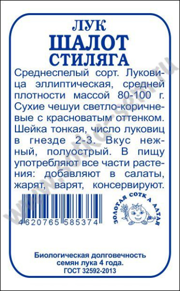 Стиляга