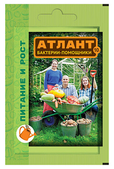 Атлант 10 гр. ВХ/200