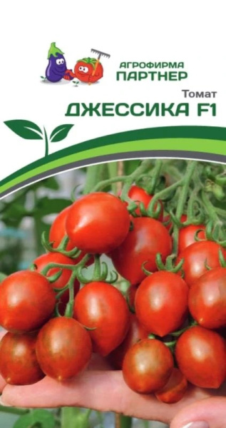 Томат Джессика