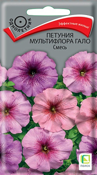 Петуния Гало смесь (10шт) Поиск/10