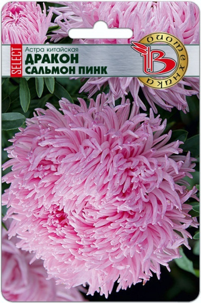 Сальмон инк