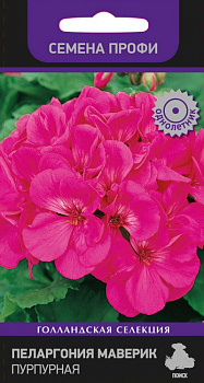 Пеларгония Маверик Пурпурная F1 (5шт) Поиск/10