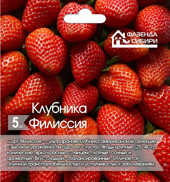 Филиссияcdr