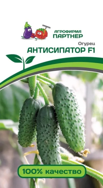 Антисипатор