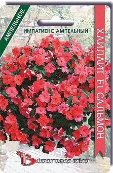 Бальзамин/импатиенс ампельный Хайлайт F1 Сальмон (10шт) Биотехника/10