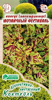 Колеус Мозаичный Фестиваль блюме (10шт) Евросемена/10