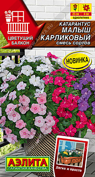 Катарантус Малыш карликовый, смесь (0,05г) Аэлита/10