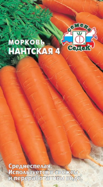 morkov_nantskaya_4