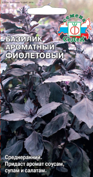 bazilik_aromatnyy_fioletovyy