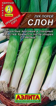 Лук порей Слон (0,5г) Аэлита/10