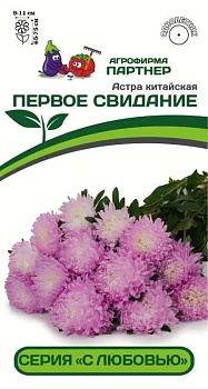 Астра Первое Свидание китайская (5шт) Партнер/10