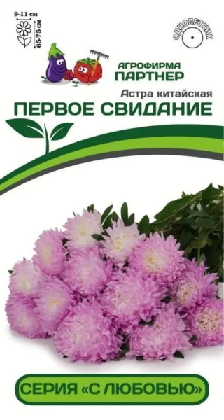 астра первое свидание